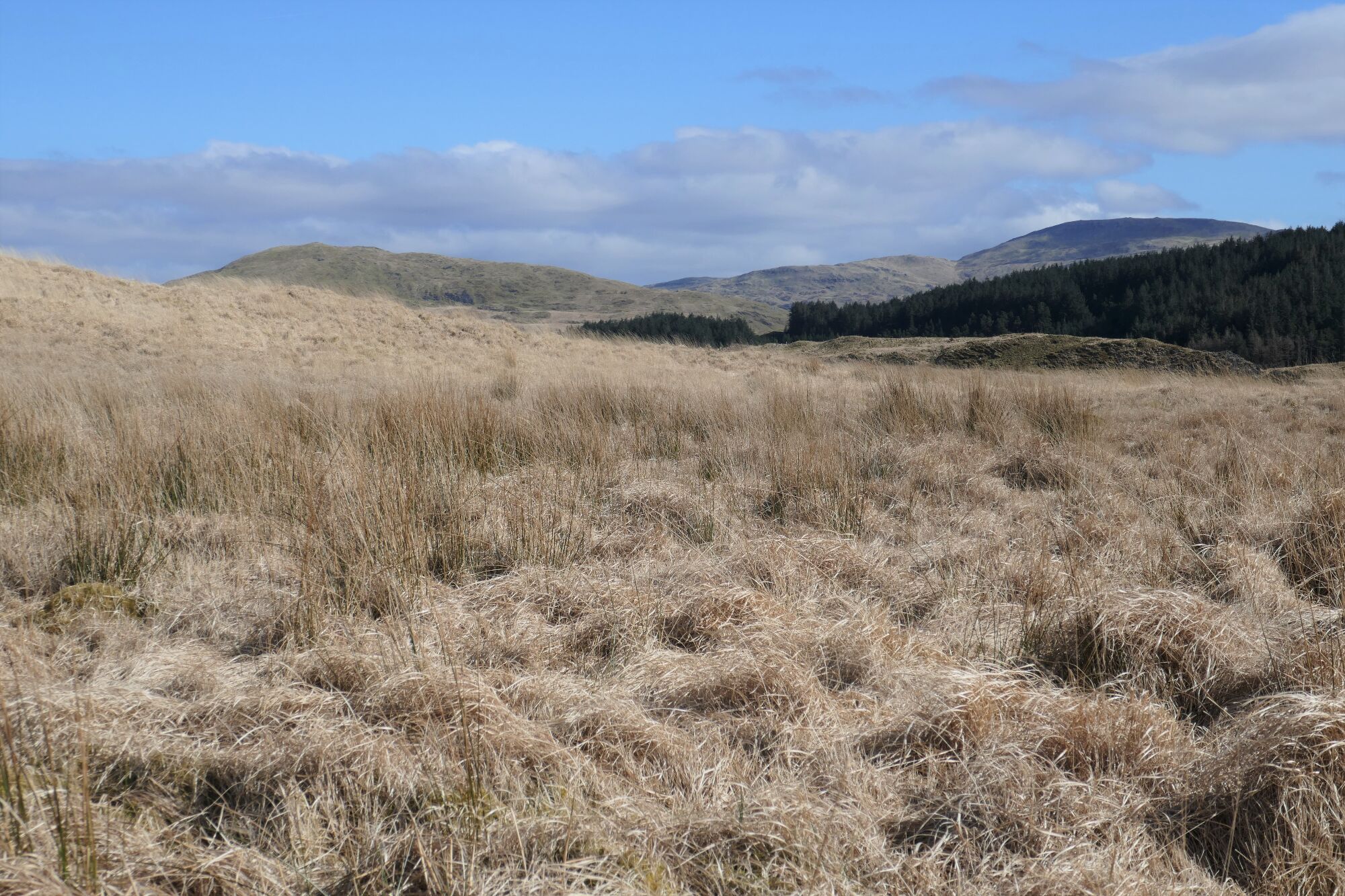 RachelSeabrook.net | Wild Walking | Cwm Cyneiniog and Craig y Pistyll | pic22